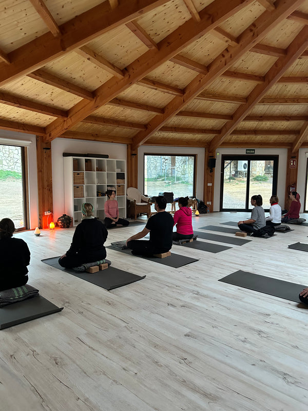 Sessioni mattutine di yoga, consapevolezza corporea e rilassamento.