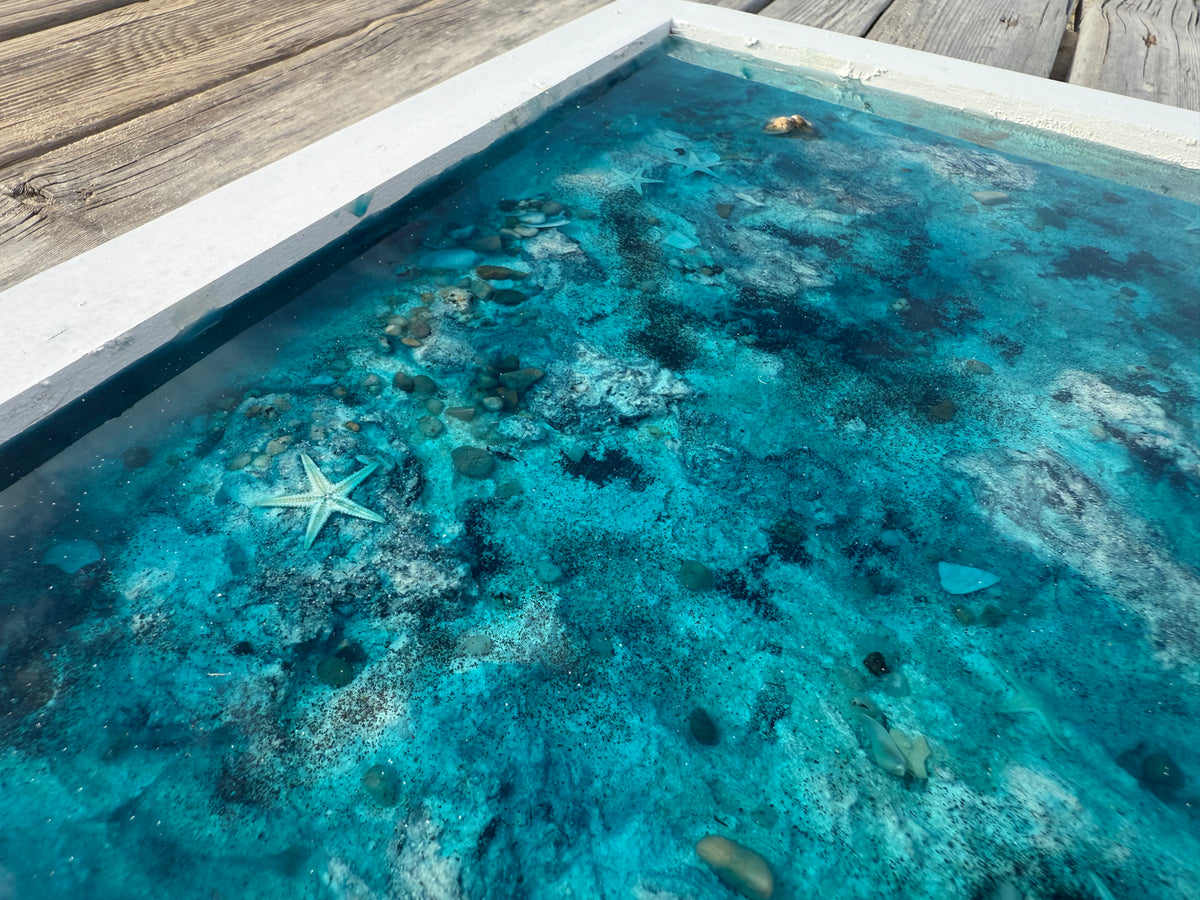 Online Framed Ocean Floor Course